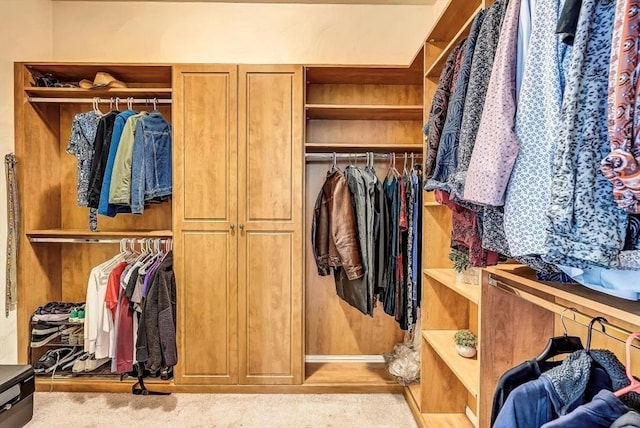 spacious closet with carpet flooring