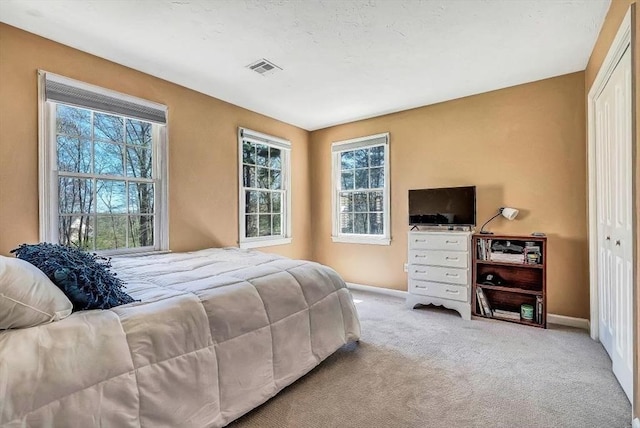 bedroom with multiple windows, carpet, baseboards, and a closet