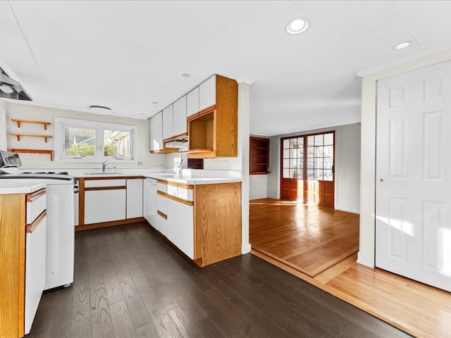 kitchen featuring white cabinets, electric range, dark hardwood / wood-style floors, and sink