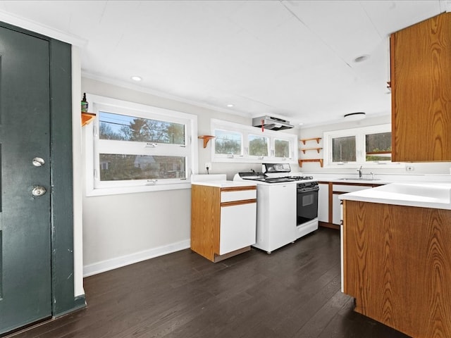 kitchen with dark hardwood / wood-style floors, white range with gas cooktop, and sink