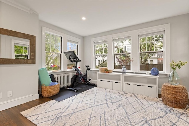 61 Howitt Rd, Boston, MA 02132 - exercise area with radiator heating unit, wood finished floors, plenty of natural light, recessed lighting, and baseboards