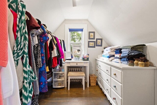 61 Howitt Rd, Boston, MA 02132 - walk in closet featuring dark wood-style flooring and lofted ceiling