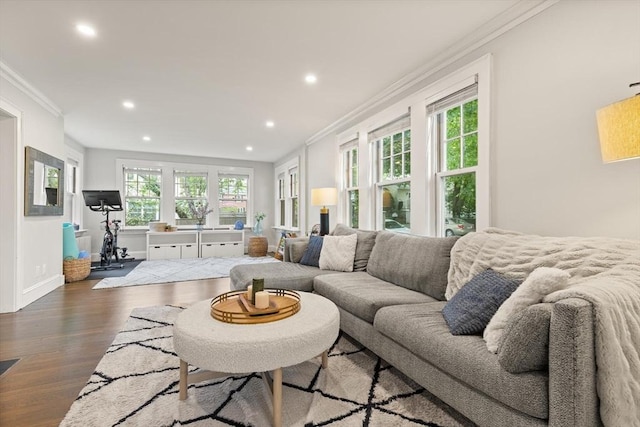 61 Howitt Rd, Boston, MA 02132 - living area featuring crown molding, recessed lighting, wood finished floors, healthy amount of natural light, and baseboards