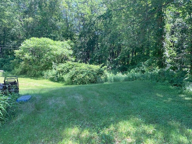 389 Breakneck Rd, Southbridge, MA 01550 - view of yard with a view of trees
