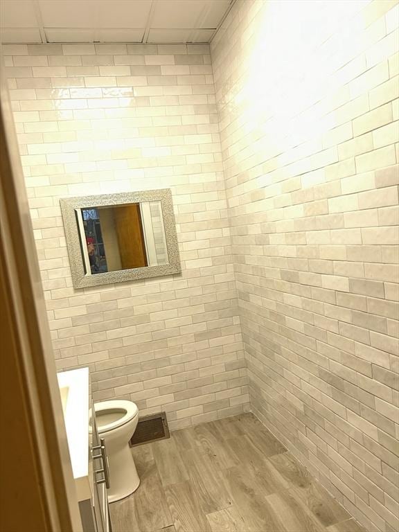 bathroom featuring vanity, wood finished floors, toilet, and a drop ceiling
