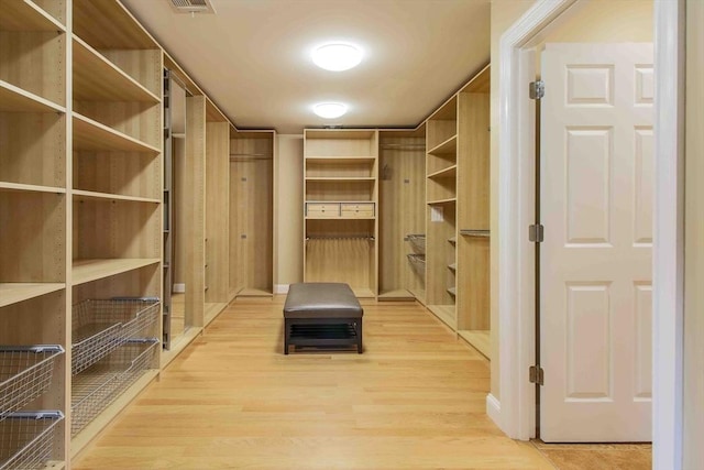 32 Twitchell St, Wellesley, MA 02482 - spacious closet with light wood-style flooring