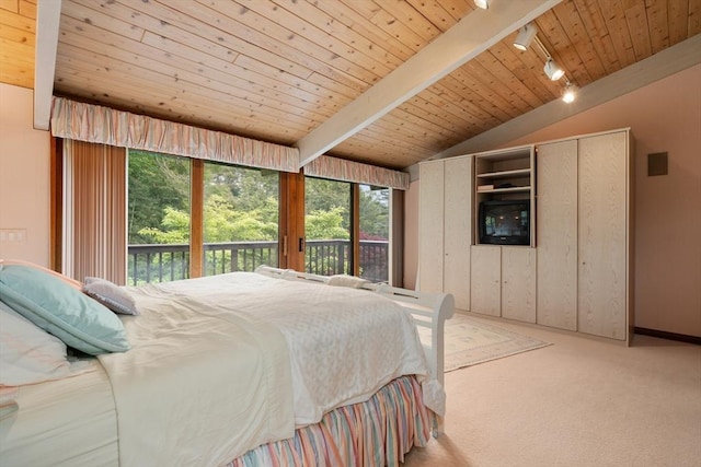 12 Laurus Ln, Newton, MA 02459 - carpeted bedroom featuring rail lighting, access to exterior, and wood ceiling