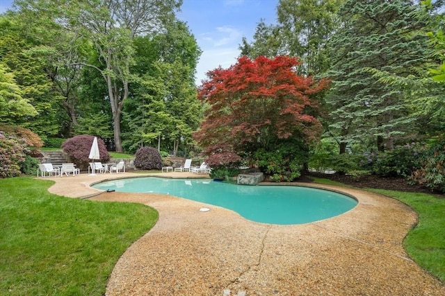 12 Laurus Ln, Newton, MA 02459 - outdoor pool featuring a patio area and a lawn