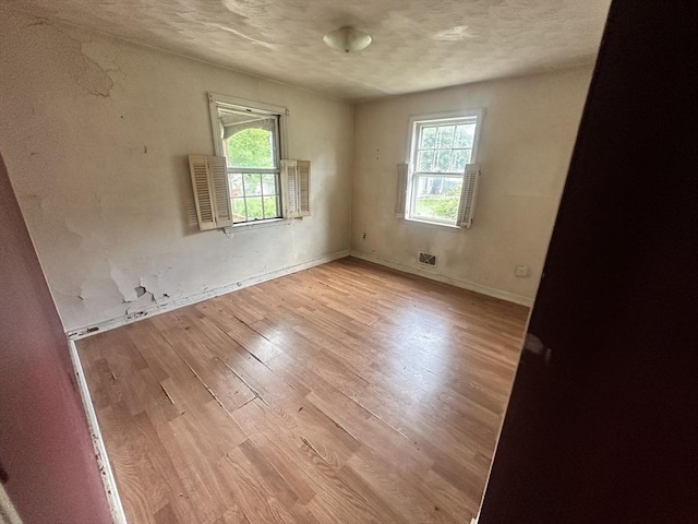 38 Conlyn Ave, Franklin, MA 02038 - unfurnished room featuring light wood-style flooring and a textured ceiling