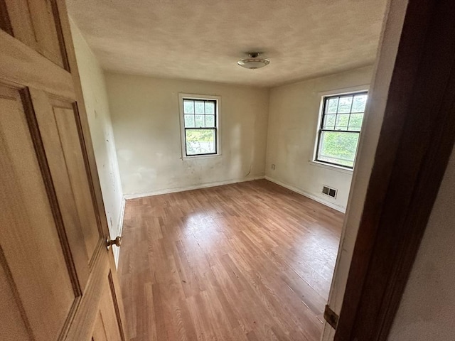 38 Conlyn Ave, Franklin, MA 02038 - empty room featuring plenty of natural light, light wood-type flooring, and a textured ceiling