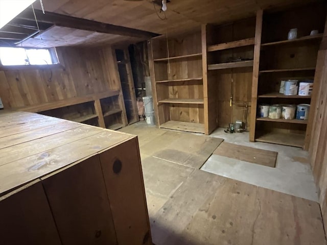 basement featuring wood walls