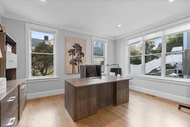 office featuring ornamental molding and light hardwood / wood-style floors