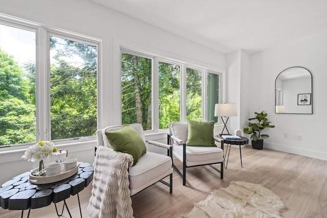 44 Ober Rd Unit 44, Newton, MA 02459 - living area featuring baseboards and light wood-style flooring