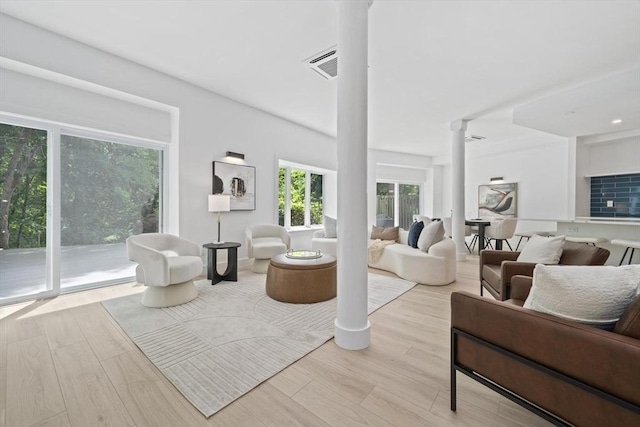 44 Ober Rd Unit 44, Newton, MA 02459 - living area featuring ornate columns and wood finished floors
