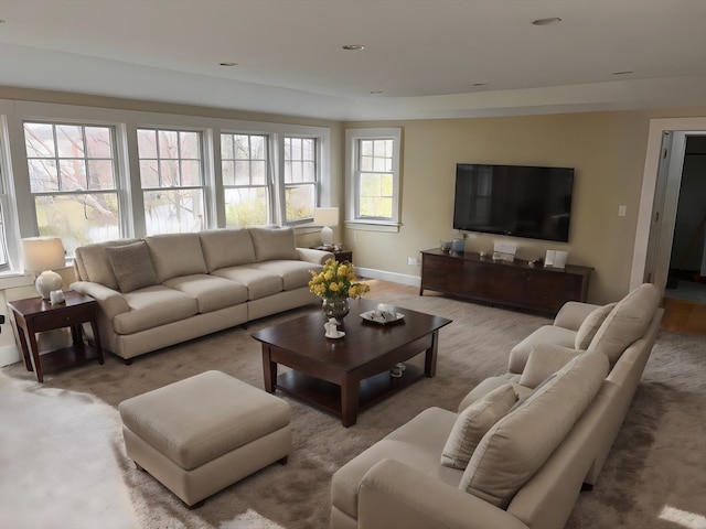 living room featuring hardwood / wood-style flooring and plenty of natural light