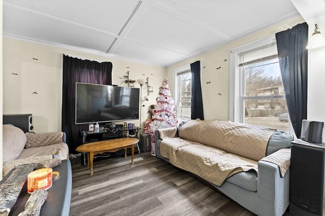 living room with hardwood / wood-style flooring and coffered ceiling