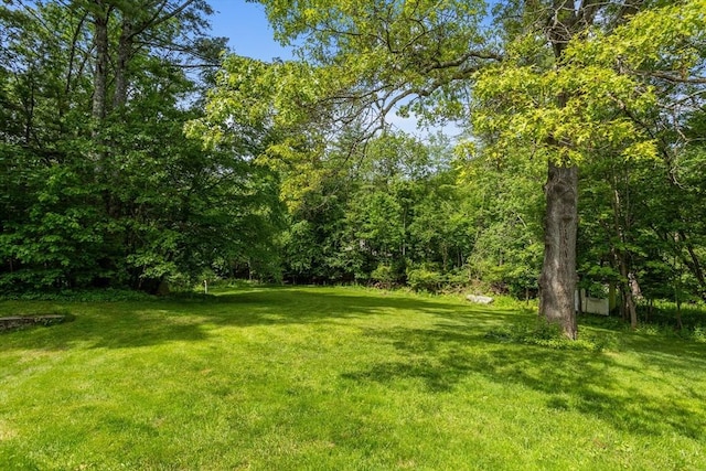 8 Macleod Ln, Acton, MA 01720 - view of green lawn