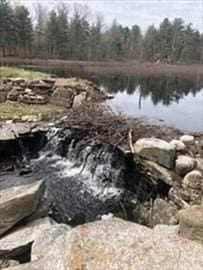 view of water feature