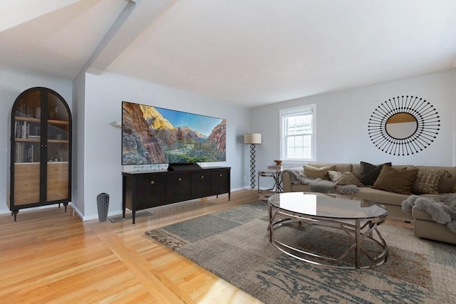 living room featuring light hardwood / wood-style floors