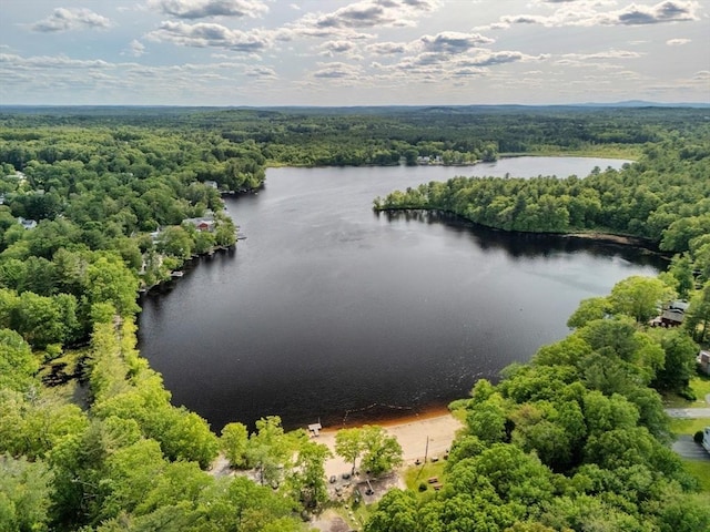 360 Littleton Rd Unit A5, Chelmsford, MA 01824 - aerial view of a heavily wooded area and a nearby body of water