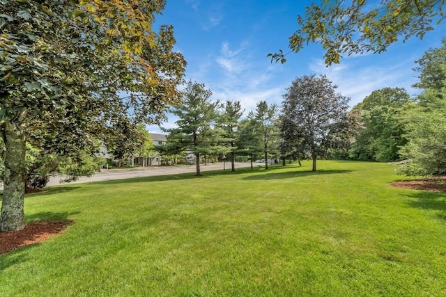 360 Littleton Rd Unit A5, Chelmsford, MA 01824 - view of green lawn
