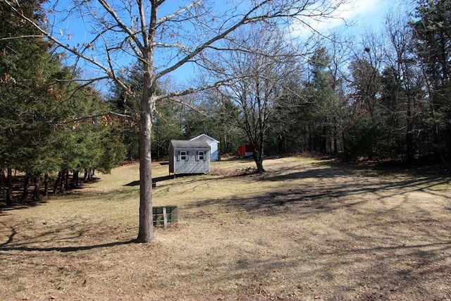 view of yard with an outbuilding and a shed