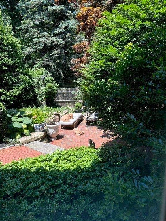 view of yard featuring a patio