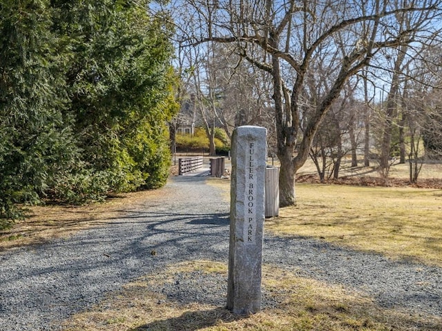 view of road featuring driveway