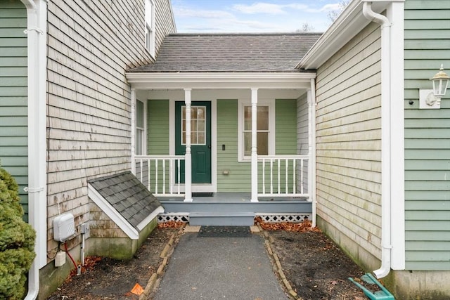 doorway to property featuring covered porch and roof with shingles