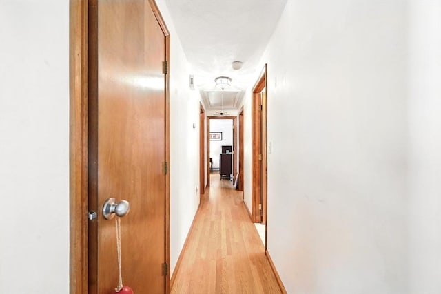 81 Crosstown Ave, Boston, MA 02132 - hallway with attic access, light wood-style flooring, and baseboards