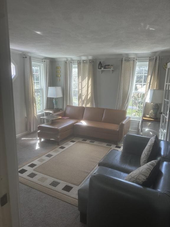 carpeted living area with plenty of natural light