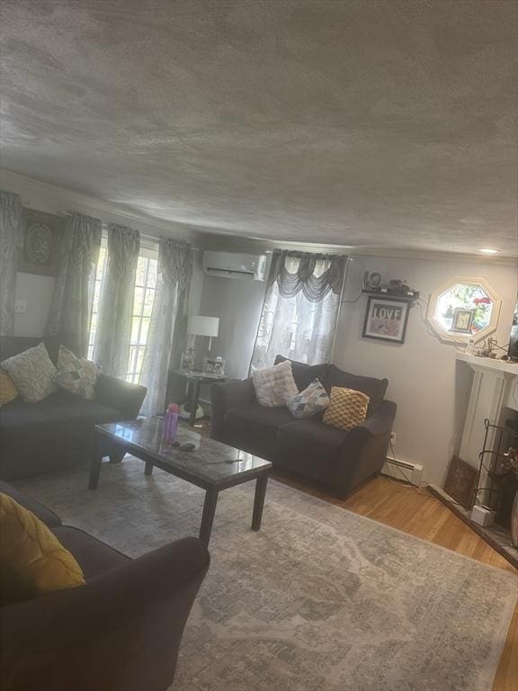living area featuring a wall unit AC, baseboard heating, and light wood finished floors