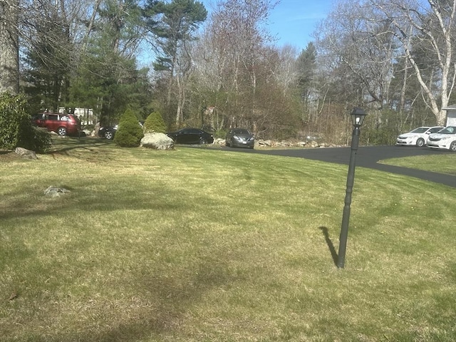 view of grassy yard