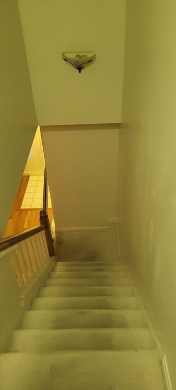 stairway with carpet floors