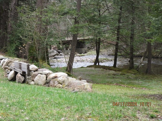 86 Ashfield Rd, Williamsburg, MA 01096 - view of yard