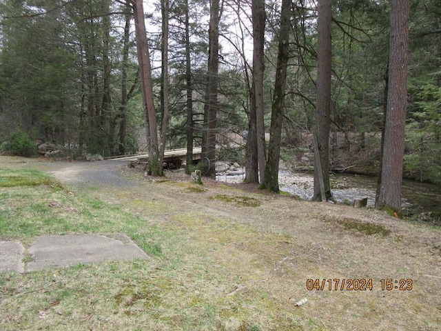 86 Ashfield Rd, Williamsburg, MA 01096 - view of yard with a forest view