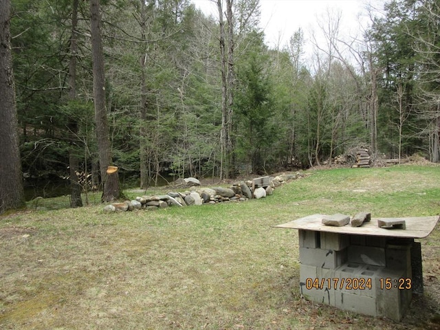 86 Ashfield Rd, Williamsburg, MA 01096 - view of yard with a view of trees