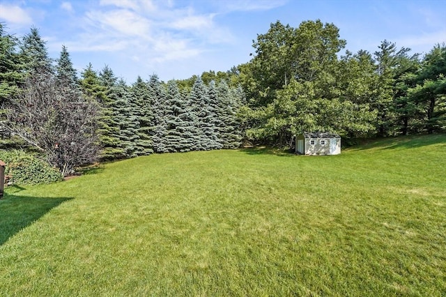 3 Spindletop Dr, Leominster, MA 01453 - view of grassy yard with a storage shed