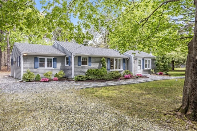 ranch-style home with a front yard and roof with shingles