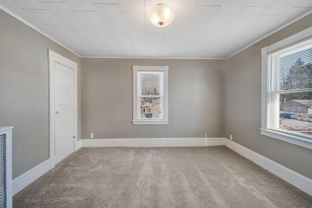 empty room featuring ornamental molding and carpet