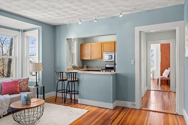 kitchen featuring light wood-type flooring, a sink, stainless steel stove, light countertops, and white microwave