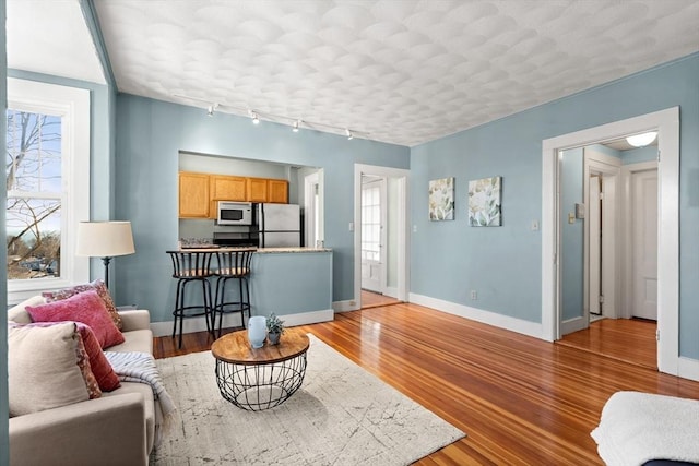 living room with baseboards, plenty of natural light, and wood finished floors