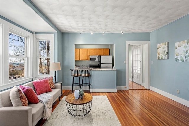 living room with light wood-style flooring, rail lighting, and baseboards