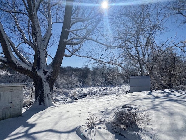 view of snowy yard