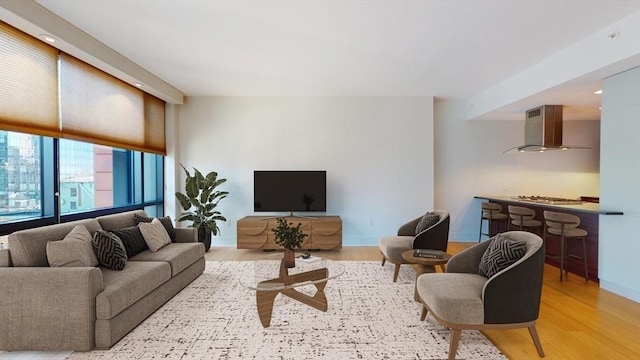 living room featuring light hardwood / wood-style floors