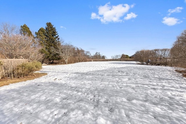 view of yard covered in snow