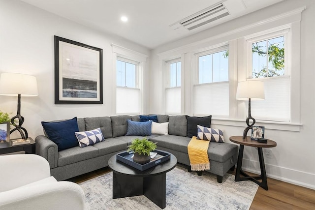 living room featuring hardwood / wood-style floors