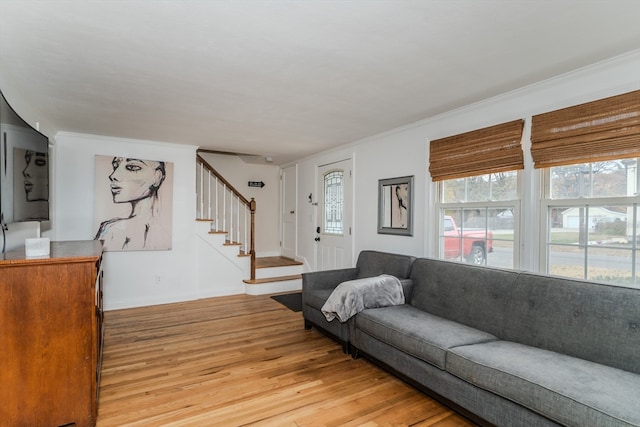 living room with crown molding and wood-type flooring