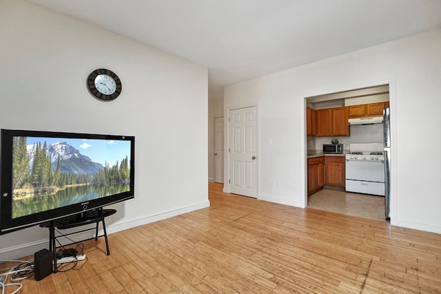 living room with baseboards and light wood finished floors