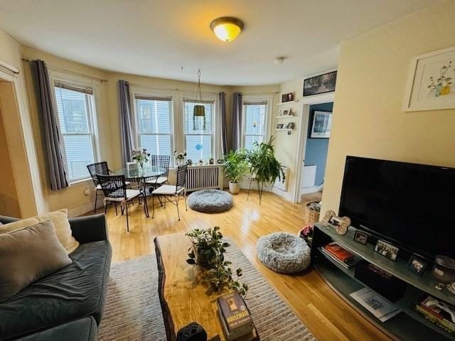 living area featuring plenty of natural light and wood finished floors